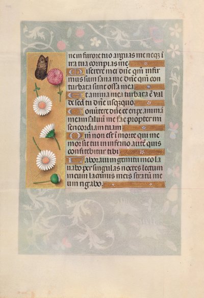 Hours of Queen Isabella the Catholic, Queen of Spain: Fol. 200V, ca. 1500. av Master of the First Prayerbook of Maximillian