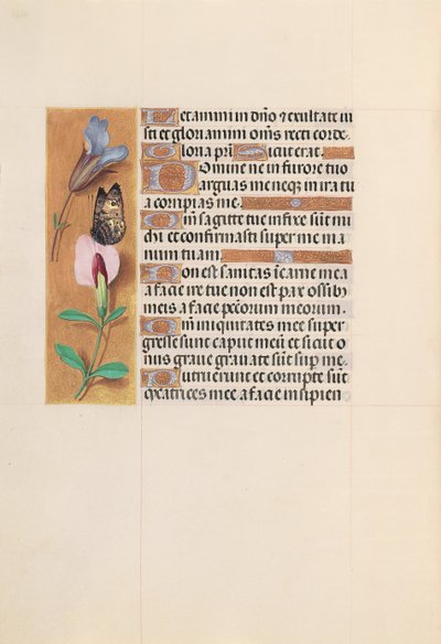 Hours of Queen Isabella the Catholic, Queen of Spain: Fol. 202v, ca. 1500. av Master of the First Prayerbook of Maximillian