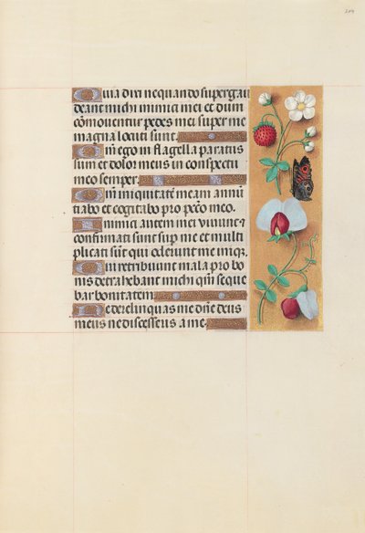 Hours of Queen Isabella the Catholic, Queen of Spain: Fol. 204r, ca. 1500. av Master of the First Prayerbook of Maximillian