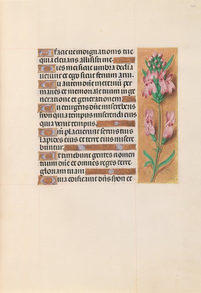 Hours of Queen Isabella the Catholic, Queen of Spain: Fol. 207r, ca. 1500. av Master of the First Prayerbook of Maximillian
