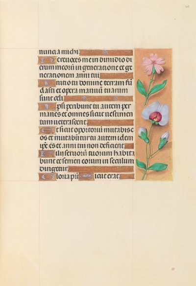 Hours of Queen Isabella the Catholic, Queen of Spain: Fol. 208r, ca. 1500. av Master of the First Prayerbook of Maximillian