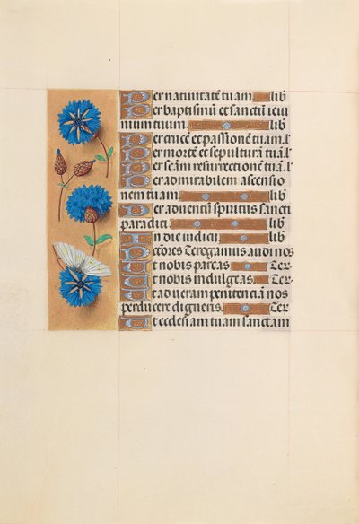Hours of Queen Isabella the Catholic, Queen of Spain: Fol. 213v, ca. 1500. av Master of the First Prayerbook of Maximillian