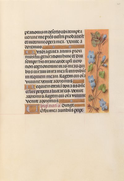 Hours of Queen Isabella the Catholic, Queen of Spain: Fol. 227r, ca. 1500. av Master of the First Prayerbook of Maximillian