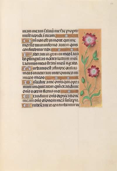 Hours of Queen Isabella the Catholic, Queen of Spain: Fol. 229r, ca. 1500. av Master of the First Prayerbook of Maximillian