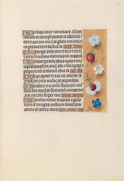 Hours of Queen Isabella the Catholic, Queen of Spain: Fol. 230r, ca. 1500. av Master of the First Prayerbook of Maximillian