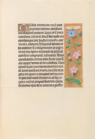 Hours of Queen Isabella the Catholic, Queen of Spain: Fol. 232r, ca. 1500. av Master of the First Prayerbook of Maximillian
