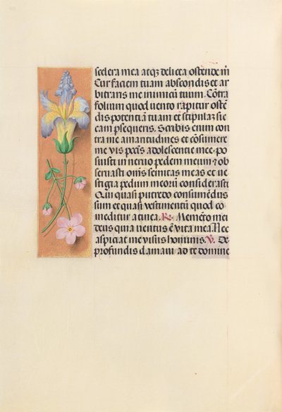 Hours of Queen Isabella the Catholic, Queen of Spain: Fol. 237v, ca. 1500. av Master of the First Prayerbook of Maximillian