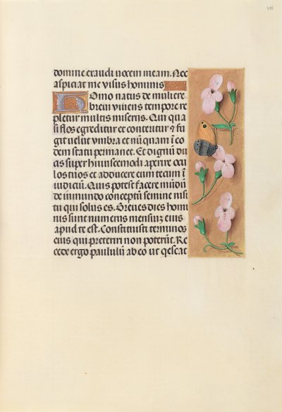 Hours of Queen Isabella the Catholic, Queen of Spain: Fol. 238r, ca. 1500. av Master of the First Prayerbook of Maximillian