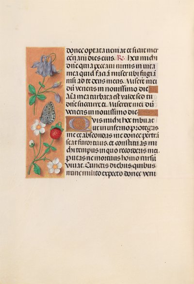 Hours of Queen Isabella the Catholic, Queen of Spain: Fol. 238v, ca. 1500. av Master of the First Prayerbook of Maximillian