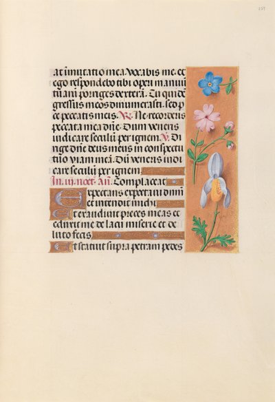 Hours of Queen Isabella the Catholic, Queen of Spain: Fol. 239r, ca. 1500. av Master of the First Prayerbook of Maximillian