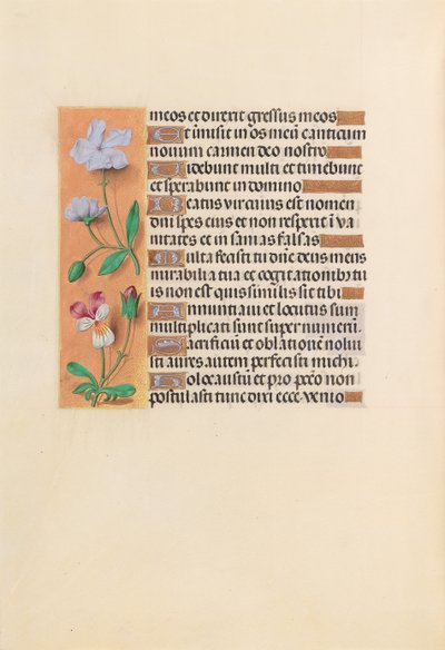 Hours of Queen Isabella the Catholic, Queen of Spain: Fol. 239v, ca. 1500. av Master of the First Prayerbook of Maximillian