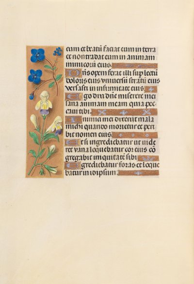 Hours of Queen Isabella the Catholic, Queen of Spain: Fol. 241v, ca. 1500. av Master of the First Prayerbook of Maximillian