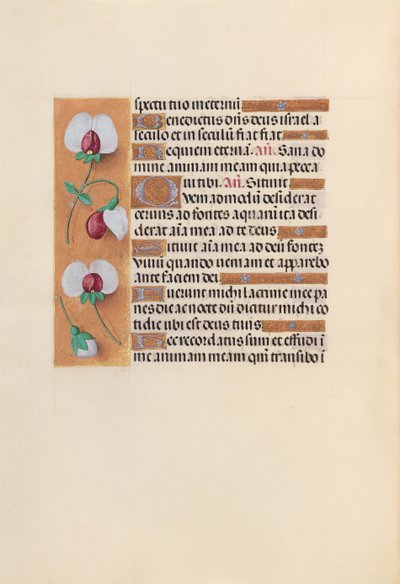 Hours of Queen Isabella the Catholic, Queen of Spain: Fol. 242v, ca. 1500. av Master of the First Prayerbook of Maximillian