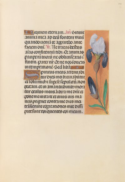 Hours of Queen Isabella the Catholic, Queen of Spain: Fol. 244r, ca. 1500. av Master of the First Prayerbook of Maximillian