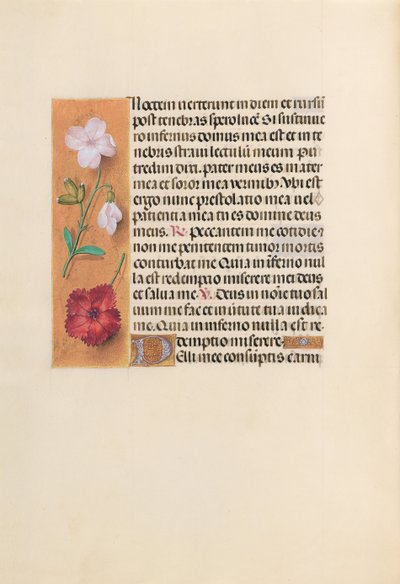 Hours of Queen Isabella the Catholic, Queen of Spain: Fol. 244v, ca. 1500. av Master of the First Prayerbook of Maximillian