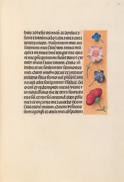 Hours of Queen Isabella the Catholic, Queen of Spain: Fol. 245r, ca. 1500. av Master of the First Prayerbook of Maximillian