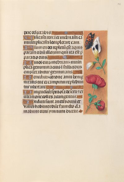 Hours of Queen Isabella the Catholic, Queen of Spain: Fol. 249r, ca. 1500. av Master of the First Prayerbook of Maximillian