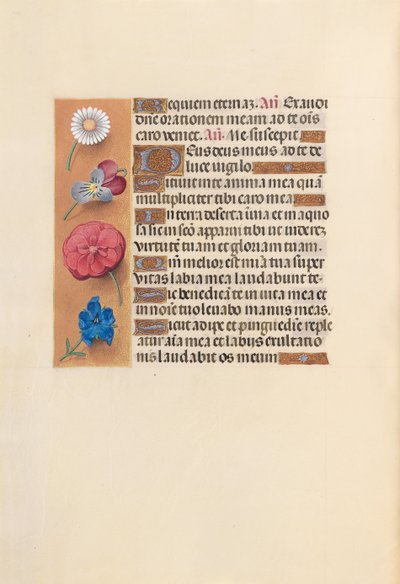 Hours of Queen Isabella the Catholic, Queen of Spain: Fol. 249v, ca. 1500. av Master of the First Prayerbook of Maximillian