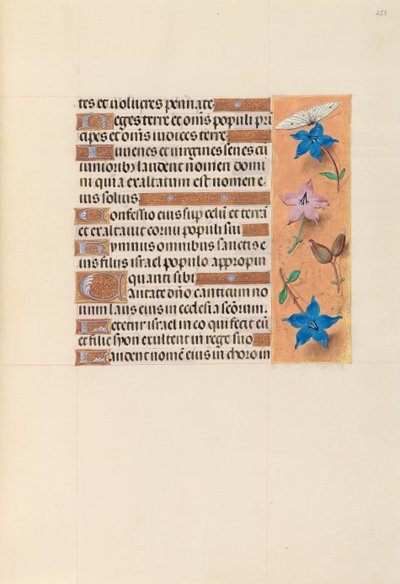 Hours of Queen Isabella the Catholic, Queen of Spain: Fol. 253r, ca. 1500. av Master of the First Prayerbook of Maximillian