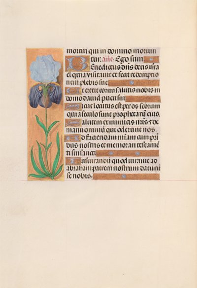 Hours of Queen Isabella the Catholic, Queen of Spain: Fol. 254v, ca. 1500. av Master of the First Prayerbook of Maximillian