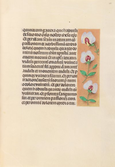 Hours of Queen Isabella the Catholic, Queen of Spain: Fol. 259r, ca. 1500. av Master of the First Prayerbook of Maximillian