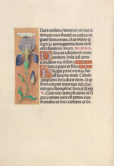 Hours of Queen Isabella the Catholic, Queen of Spain: Fol. 45v, ca. 1500. av Master of the First Prayerbook of Maximillian