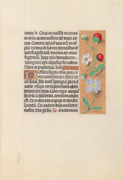 Hours of Queen Isabella the Catholic, Queen of Spain: Fol. 55r, ca. 1500. av Master of the First Prayerbook of Maximillian
