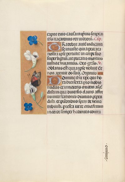  av Master of the First Prayerbook of Maximillian