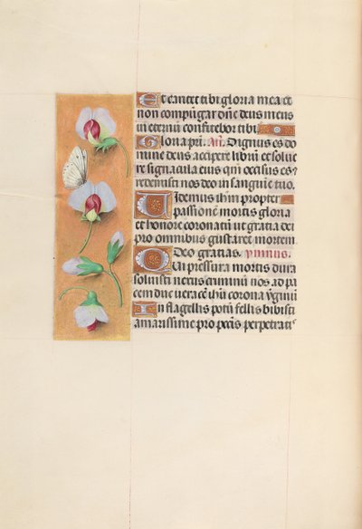 Hours of Queen Isabella the Catholic, Queen of Spain: Fol. 74v, ca. 1500. av Master of the First Prayerbook of Maximillian