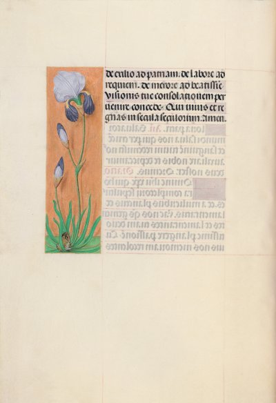 Hours of Queen Isabella the Catholic, Queen of Spain: Fol. 79v, ca. 1500. av Master of the First Prayerbook of Maximillian