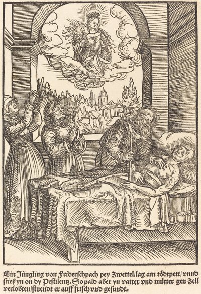 En unge av Friderschpach... av Master of the Miracles of Mariazell