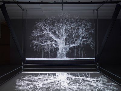  av Mat Collishaw