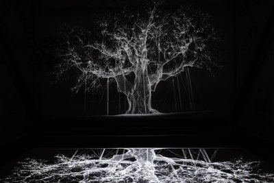  av Mat Collishaw