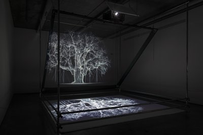 av Mat Collishaw