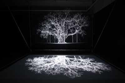  av Mat Collishaw