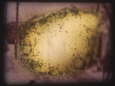  av Mat Collishaw