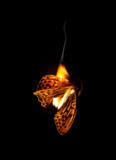  av Mat Collishaw