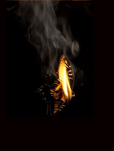  av Mat Collishaw