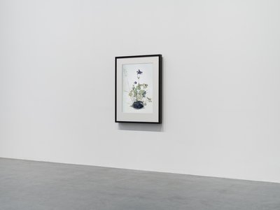  av Mat Collishaw