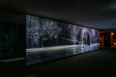  av Mat Collishaw