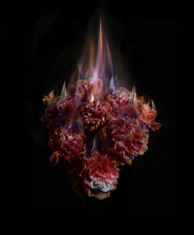  av Mat Collishaw