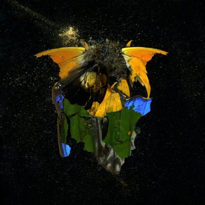  av Mat Collishaw