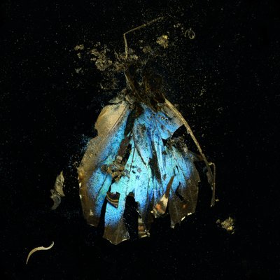  av Mat Collishaw