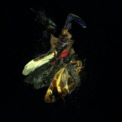  av Mat Collishaw