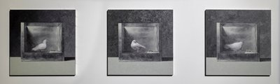  av Mat Collishaw