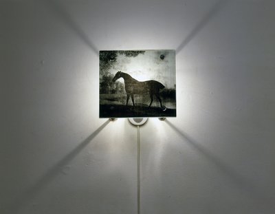  av Mat Collishaw