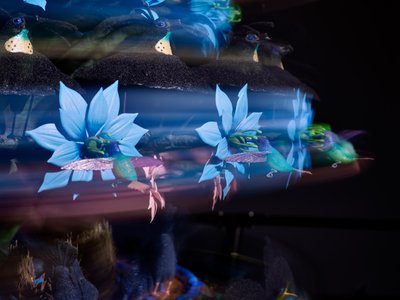  av Mat Collishaw