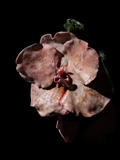  av Mat Collishaw