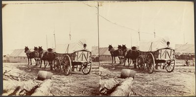  av Mathew B. Brady