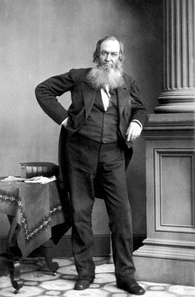Gerrit Smith: Amerikansk politiker, New York av Mathew B. Brady